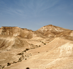 מדבר יהודה