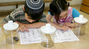 ילדים לומדים